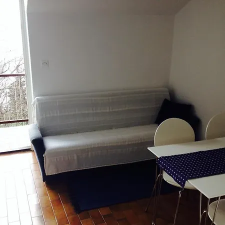 Hostel Little Seahorse