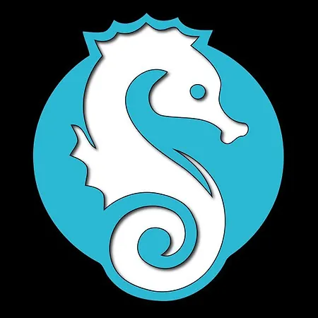 Hostel Little Seahorse *