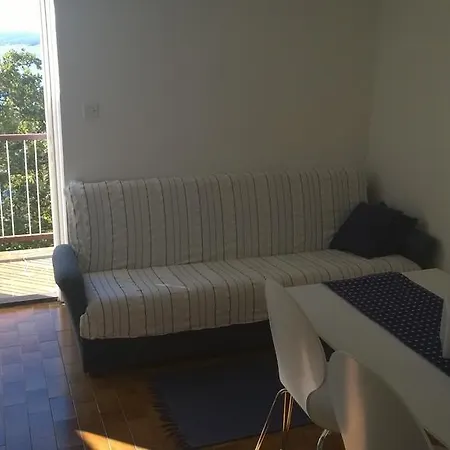 Hostel Little Seahorse