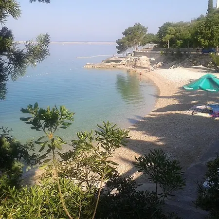 Little Seahorse Hostel