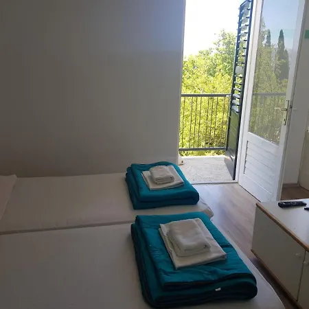 Hostel Little Seahorse *